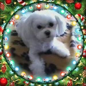 Meet your Posher, Russ-carlee